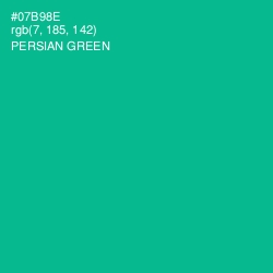 #07B98E - Persian Green Color Image